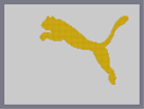 Thumbnail of the map 'Puma'