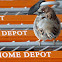 House sparrow