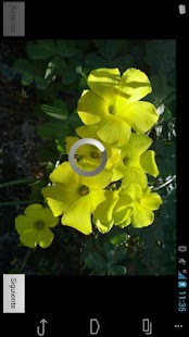 How to install NatureWallpaper lastet apk for bluestacks