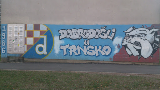 Dinamo Trnsko