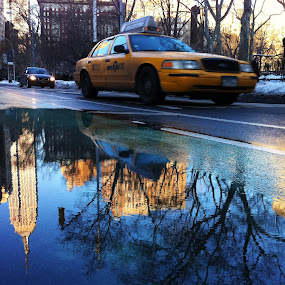 by Tanya Malott - Mobile Photos iPhone