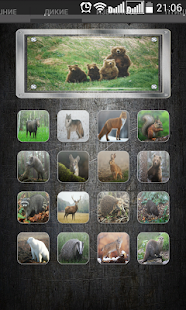 How to install Animal Sounds 1.2.1 apk for pc