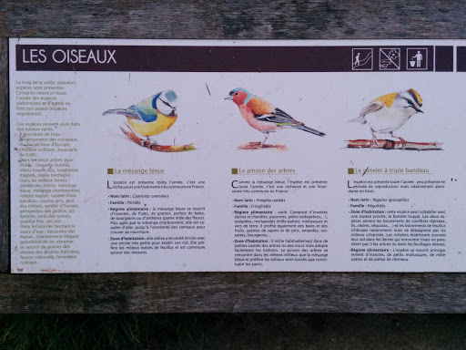 Plaque Les Oiseaux