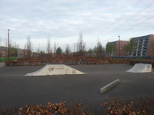 Skate Park and Basketball Court