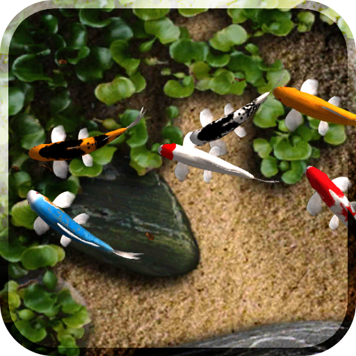 Koi Watch Face