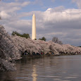 Wildlife of Washington, D.C.