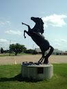 Riser Elementary Horse Statue
