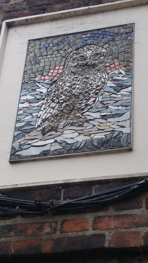 Owl Mosaic Mural