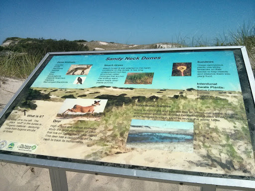Sandy Neck Dunes Sign