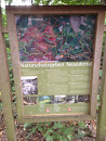 Naturschutz Gebiet Neandertal