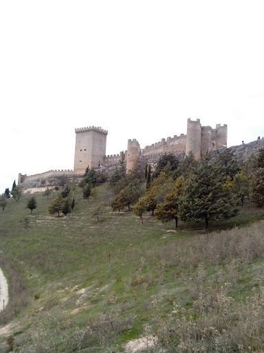 Castillo De Peñaranda De Duero