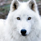 Sebastien 