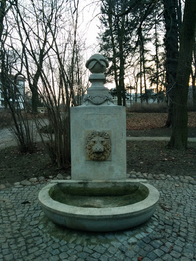 Lion Fontaine