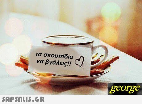 τα σκουπίδια να βγάλεις!! george 