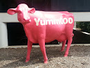 Yummooo Pink Cow