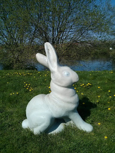 Bunny By the Lake 