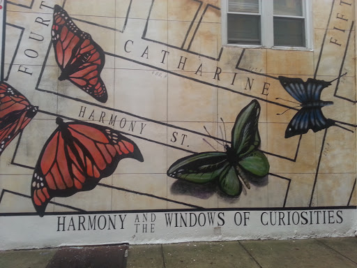 Harmony and the Windows of Curiosity