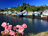 Piensasur Turismo Viajes En El Sur De Chile