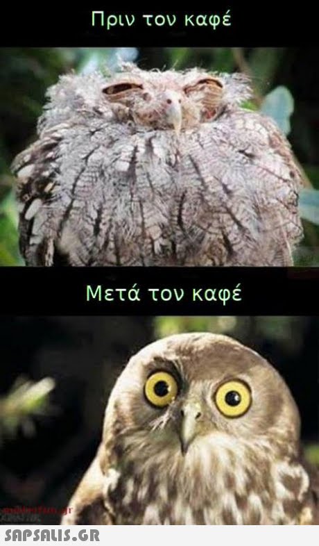 Πριν τον καφε Μετά τον καφέ 