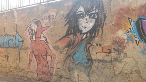 Libido Wall Art