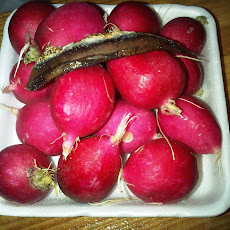 Roasted Radishes Bathed in Anchovy