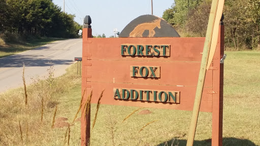 Neighborhood Forest Fox