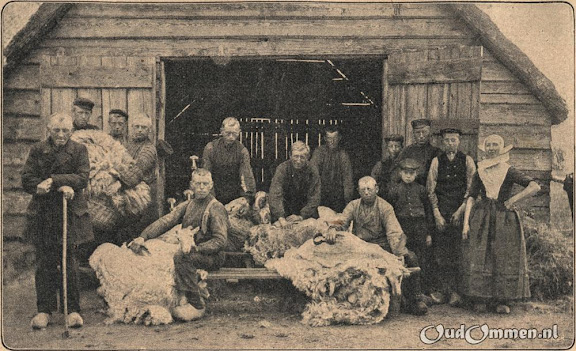 19221021_Varsen-Schapenscherenbw--.jpg