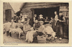 19430501_Ommen-Schapen-scherenvbw--.jpg