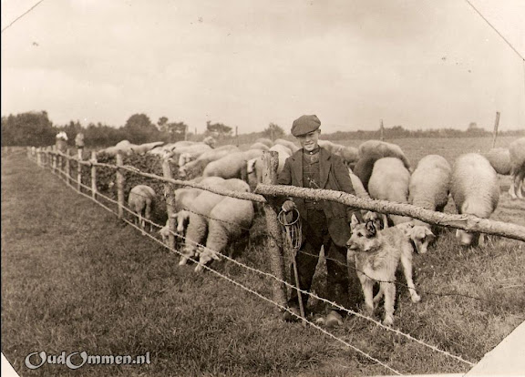 Afb9Frits schaapherder Besthmenerberg ca 1918-1bw--.jpg