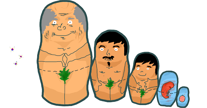 Lifecycle?:D