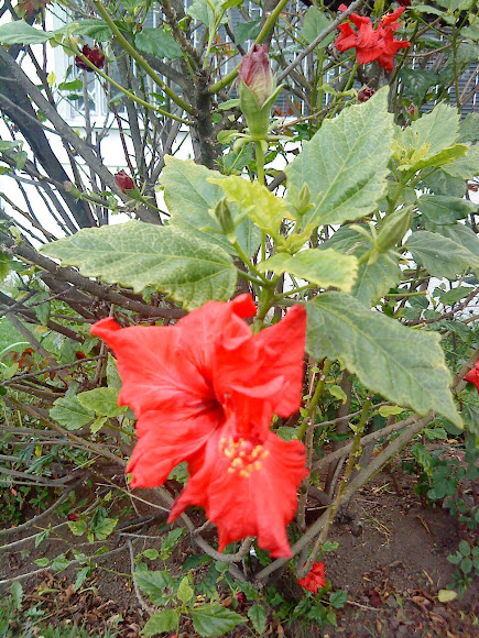 Spotting Image 1