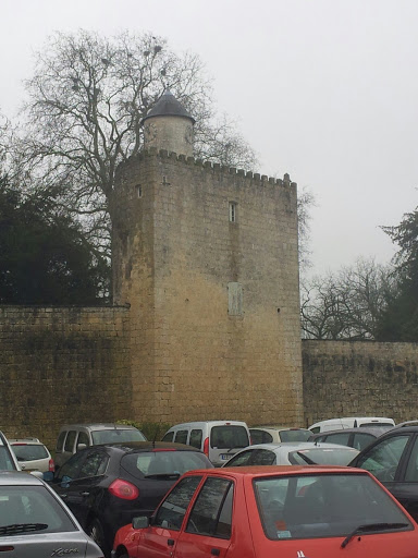 Chateau De Surgères