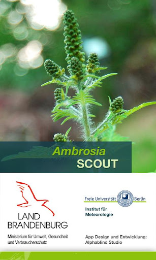 Ambrosia SCOUT