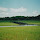 Salt Marsh Dieback/Restoration - New England
