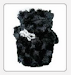 Moda Canina Puppys Fashion
