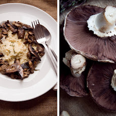 Wild Mushroom Risotto