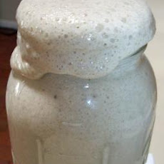 SourDough Starter