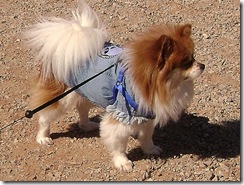 062
