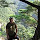 ambientidm