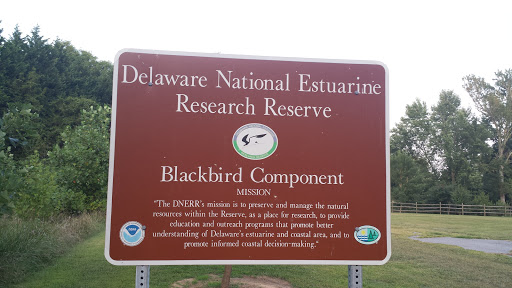 Blackbird Estuary
