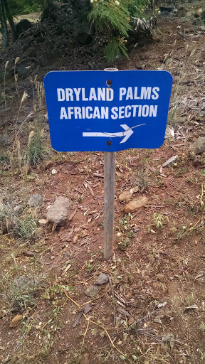 Dryland & African Path