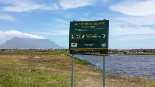 Diep River Entrance Table Bay Nature Reserve