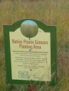 Native Prairie Grasses Planting Area