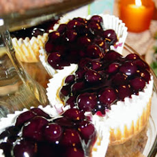 Cheese Cake Cups