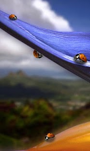 How to download Ladybug Wallpaper Live HD lastet apk for pc