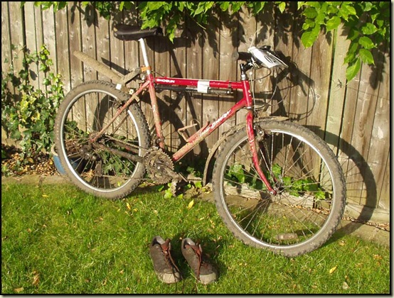 1206bike