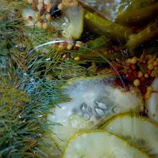 Easy Dill Pickles