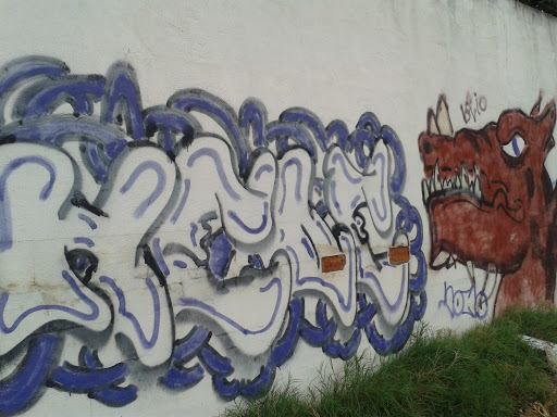 Graffiti Dragón Mal Pintado