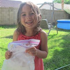 Fresh Fruit Ice Cream in a Baggie