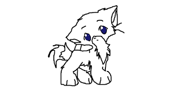 Little Anime cat